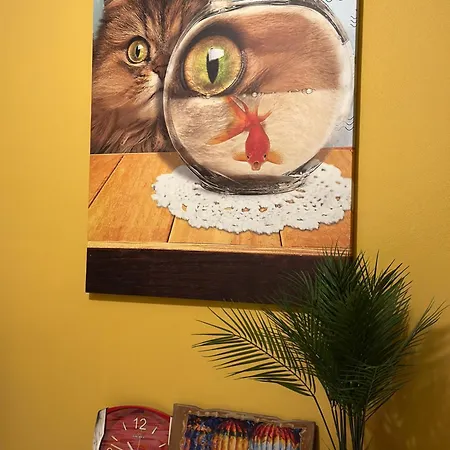 Lost At Sea 1 Апартаменты *