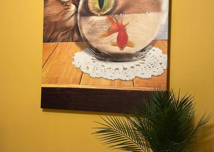 Lost At Sea 1 Appartamento *